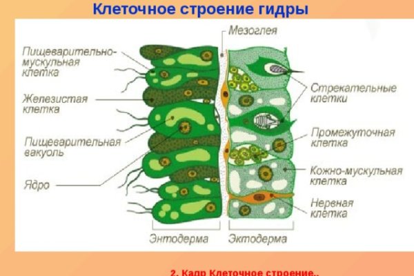 Кракен ссылка pw