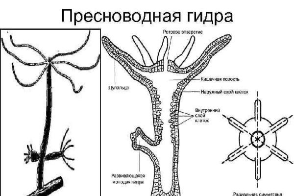 Реальная ссылка кракен